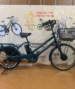 Xe đạp trợ lực Bridgestone đời 1 pin B300
