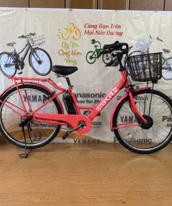 Xe đạp trợ lực Bridgestone đời 2 pin B300